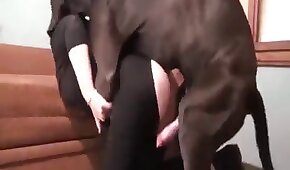 Novinho magrelo deixa a me do seu amigo rebolar na sua pica - sexo de cachorro,sexo foda animal